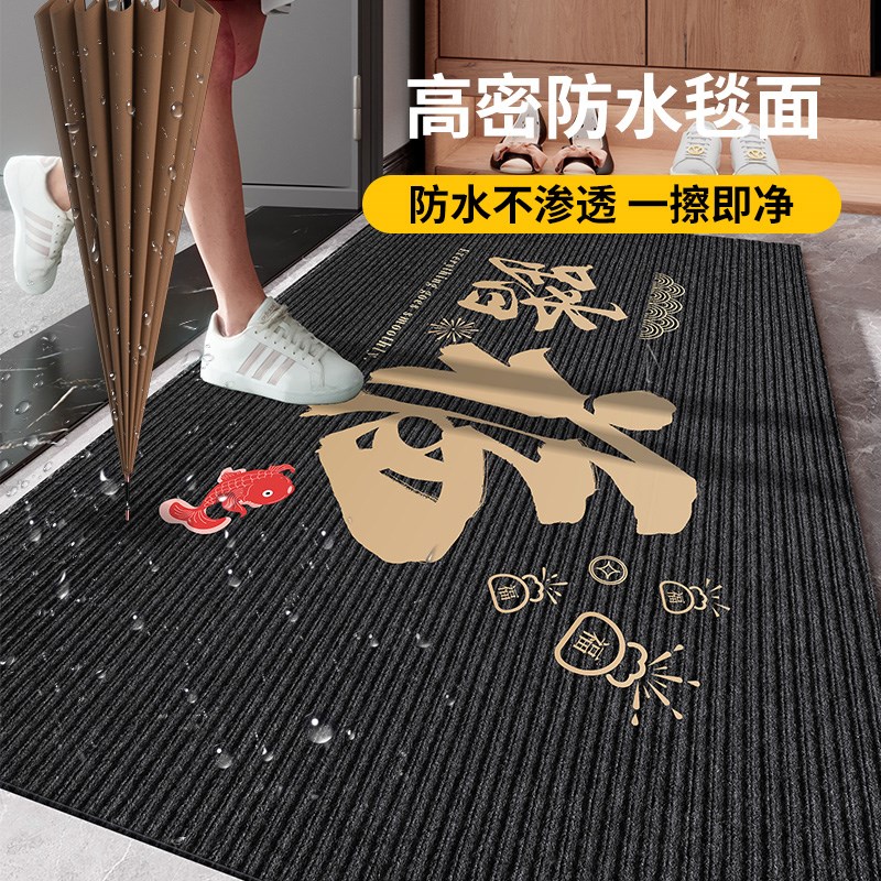 地垫入户门垫进门门口门外脚垫地毯门厅高级入户门2024新款脚踏垫 - 图1