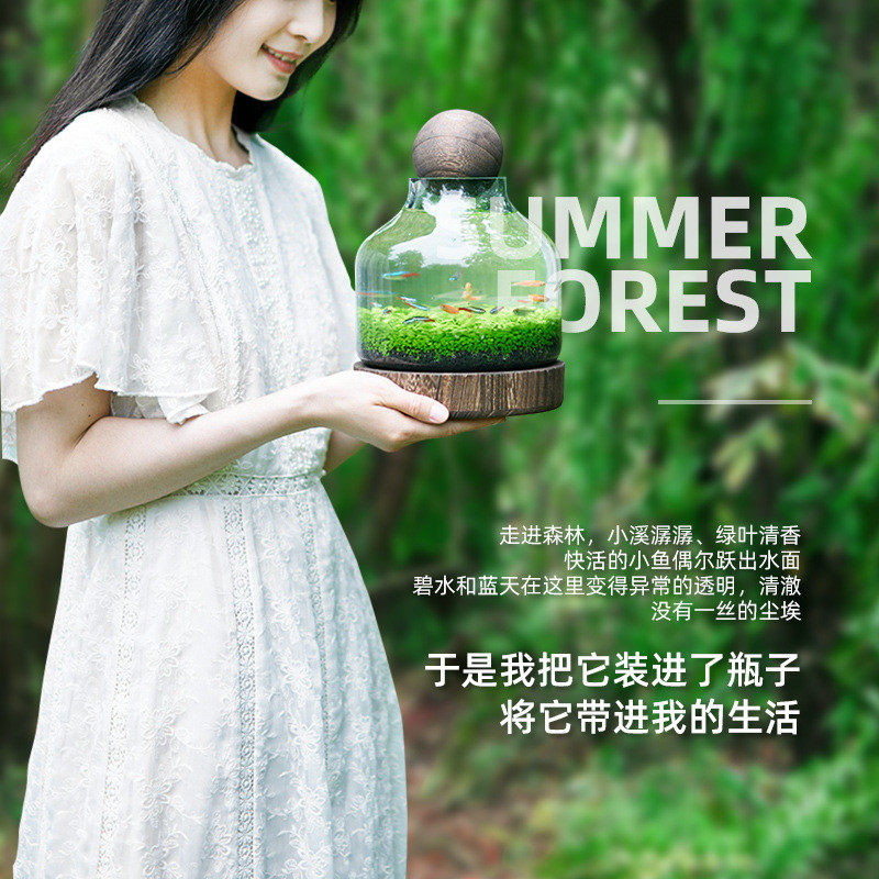 生态瓶微景观玻璃生态鱼缸diy材料小鱼生态瓶水草瓶水草种子景观,淘宝优惠券,粉丝福利购,淘宝优惠卷