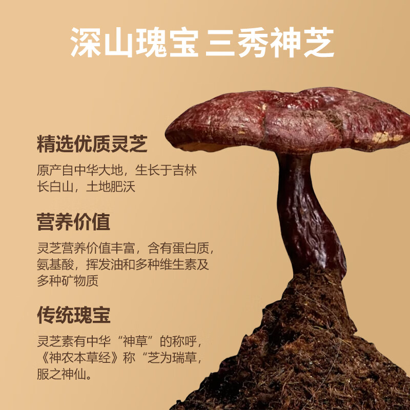 吉林敖东灵芝原浆精萃液无糖浓缩型灵芝原浆口服液旗舰店官方正品