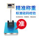 Industrial precision weight measuring electronic platform scale 150kg table scale 300kg electronic scale 500kg floor scale