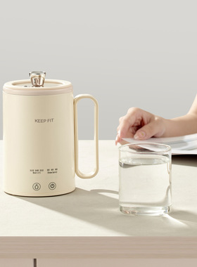 便携煮水杯泡茶迷你定时电炖水壶电炖养生杯炖煮一体全自动电煮杯