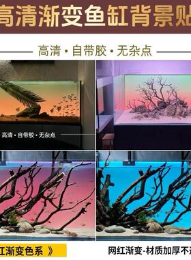 蓝青白正面自粘装饰壁纸新款鱼缸背景专用贴纸画渐变色水族箱造景
