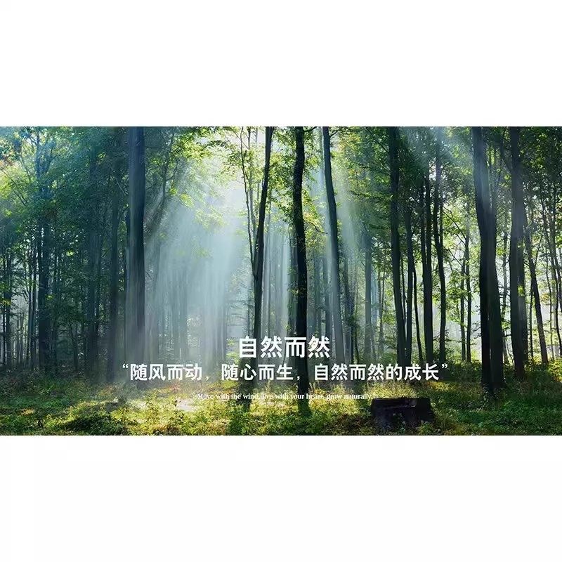 3D立体森林墙纸大自然露营风景餐厅视觉延伸空间墙布背景墙壁画纸,淘宝优惠券,粉丝福利购,淘宝优惠卷