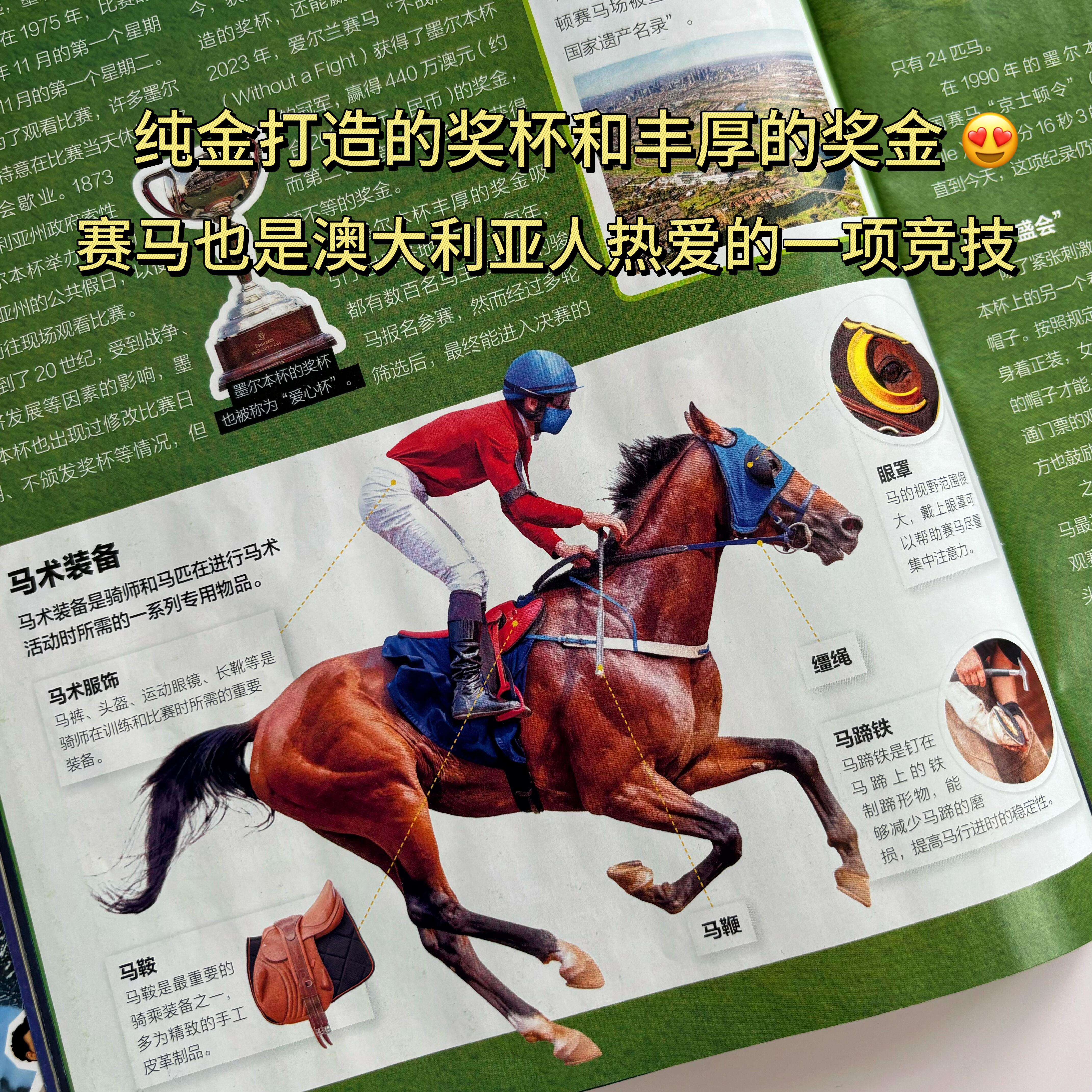 亲子阅读自然科普绘本图画书全20册幼儿启蒙认知百科全书3到9儿童睡前故事书3-8岁科学探索认知绘本3-6岁幼儿园小学生课外阅读书籍