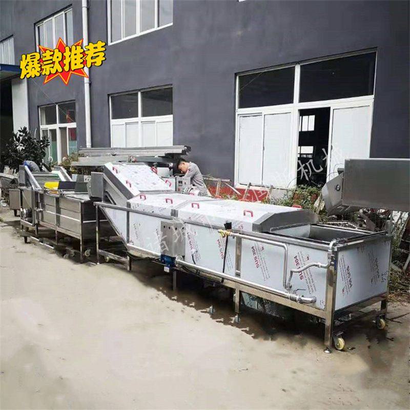 薯条连续漂烫线 金针菇蒸煮机 玉米 杀青蒸煮线 毛豆蒸煮风干设备,淘宝优惠券,粉丝福利购,淘宝优惠卷