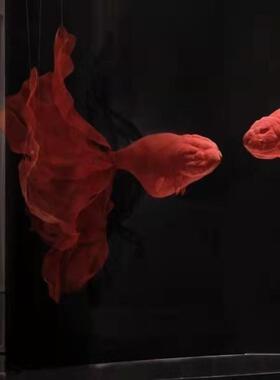 中代中式金鱼空悬挂软装吊饰创意03184金属网现装格商场酒店开业