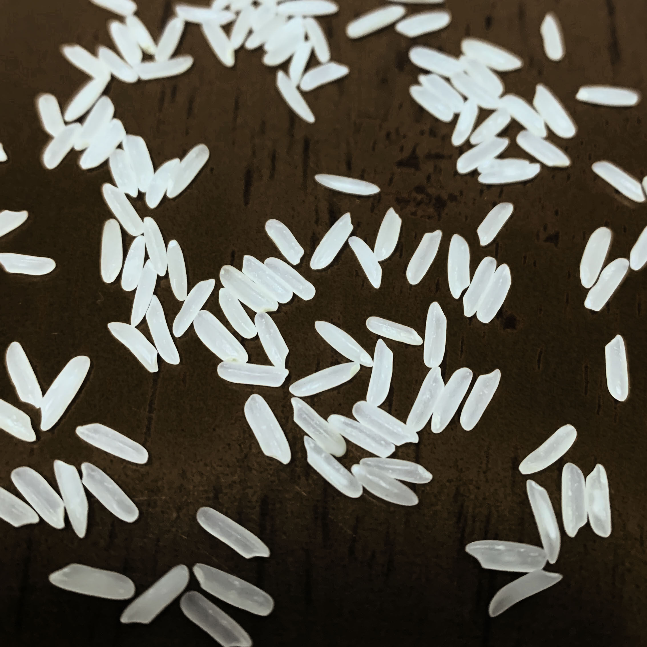 虾仔米【晚稻】20斤正宗虾子米高要活道米雪花粘米广东肇庆虾仔米 - 图2