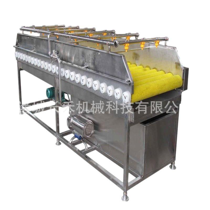 冰糖橙毛辊清洗机全自动水果毛发去杂清洗机全自动滚刷洗果机 - 图3
