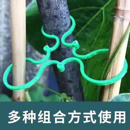 黄瓜西红柿豆角爬藤绑枝8字夹绿植蔬菜捆藤蔓专用固定夹绑枝机 - 图2