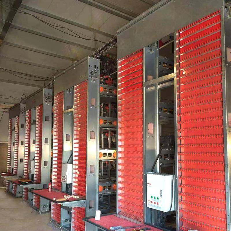 现货全自动化大层叠蛋鸡笼热镀锌养殖设备自动喂料集蛋清粪蛋鸡笼,淘宝优惠券,粉丝福利购,淘宝优惠卷