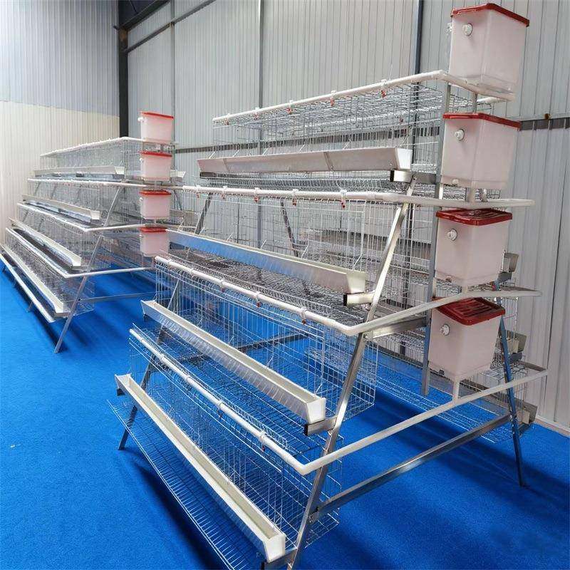 养殖场用三层四门蛋鸡笼设备热镀锌蛋鸡笼阶梯双边蛋鸡笼养殖厂,淘宝优惠券,粉丝福利购,淘宝优惠卷