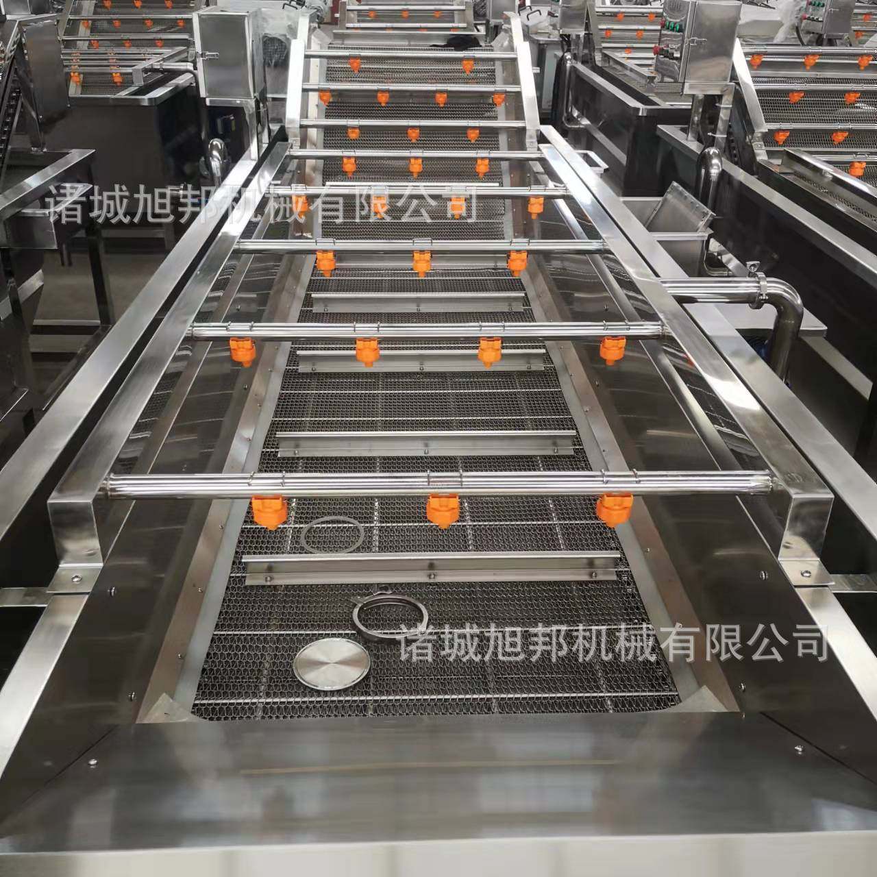 多功能果蔬气泡清洗机 叶类蔬菜清洗设备 网带气泡式蔬菜洗菜机,淘宝优惠券,粉丝福利购,淘宝优惠卷