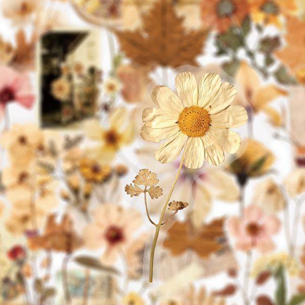 【大图释官方授权】100张复古干枯花朵树叶植物贴纸ins风氛围感素材小众手账装饰标签防水不干胶素材贴画文艺,淘宝优惠券,粉丝福利购,淘宝优惠卷