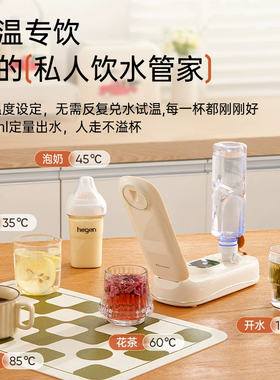美国卓朗便携式烧水壶即热式饮水机电热家用旅行小型折叠出差迷你