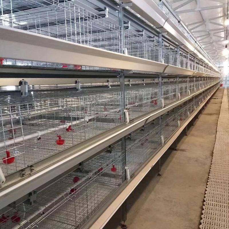 青年鸡养殖设备全自动框架养鸡笼鸡舍养鸡场层叠式钢丝四层鸽笼,淘宝优惠券,粉丝福利购,淘宝优惠卷
