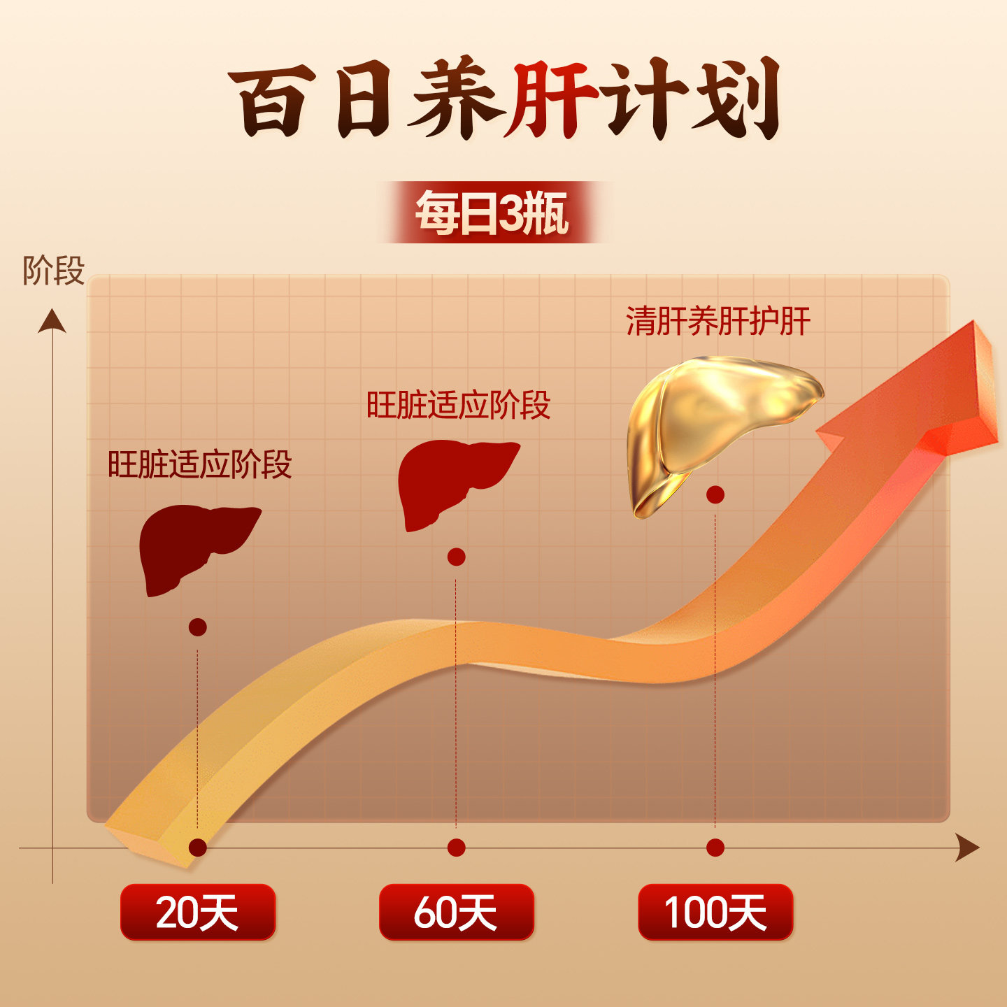 熊胆粉金胆护肝官方正品口臭口苦熬夜饮酒清热平肝护目中药饮片