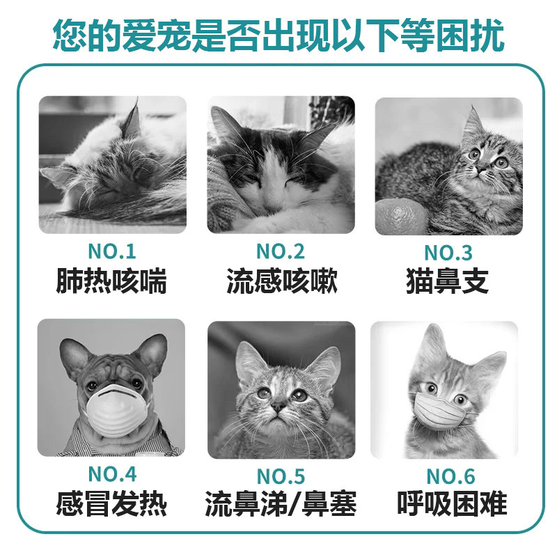 麻杏石甘口服液狗狗猫咪鼻支宠物咳嗽药止咳化痰平喘犬窝咳感冒新,淘宝优惠券,粉丝福利购,淘宝优惠卷