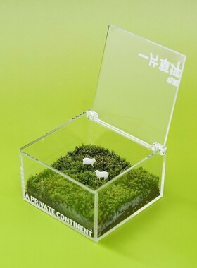 懒人草坪苔藓微景观桌面办公室