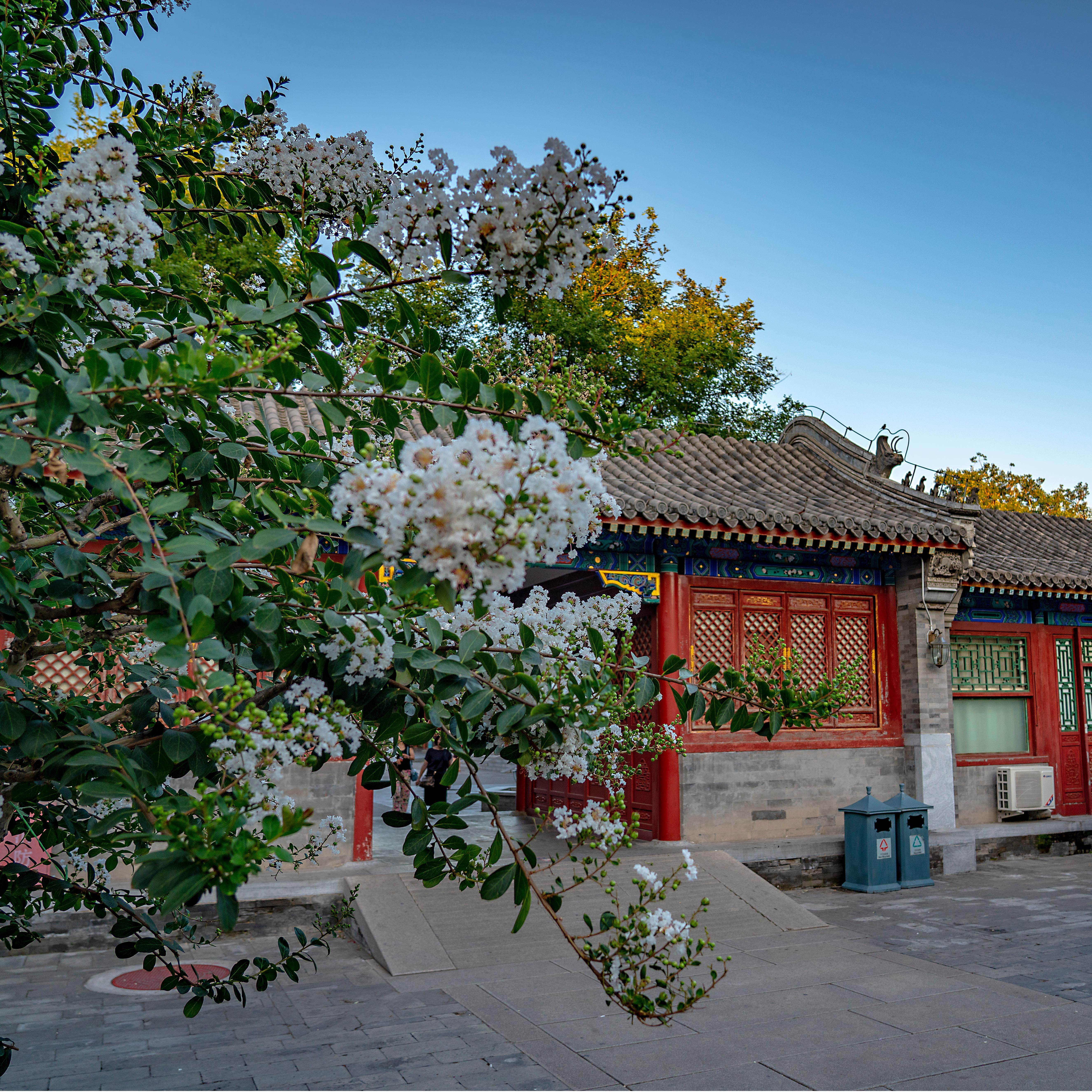 北京 恭王府 一日游 可选15人小团/耳麦/导游讲解,淘宝优惠券,粉丝福利购,淘宝优惠卷