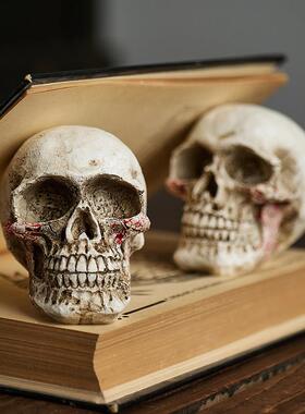 仿真头骨模型可拆卸颅骨万圣节道具美术素描教学复古骷髅头摆件