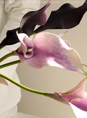 TEXDREAM织梦 美人蕉/高级轻奢装饰花瓶仿真花朵假花客厅花瓶摆件