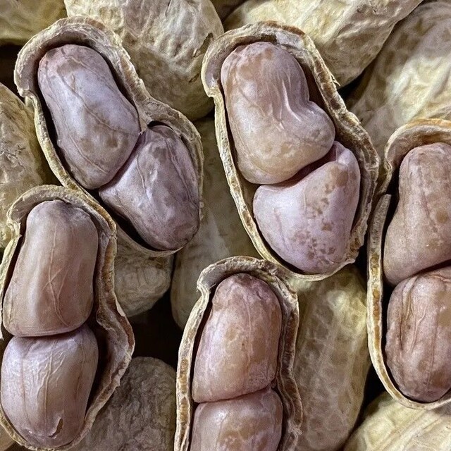 New arrivals: Boiled, sun-dried, salted and dried peanuts, garlic and spices, farmhouse multi-flavor shelled peanuts, nuts, roasted seeds and nuts snacks