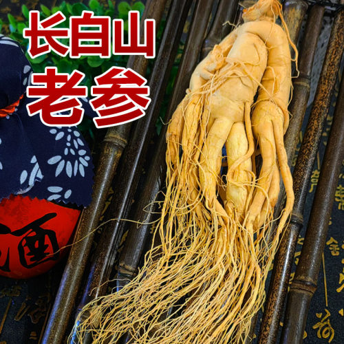长白山正宗鲜人参煲汤泡酒专用高品质鲜参滋补养生吉林园参整枝参 - 图1