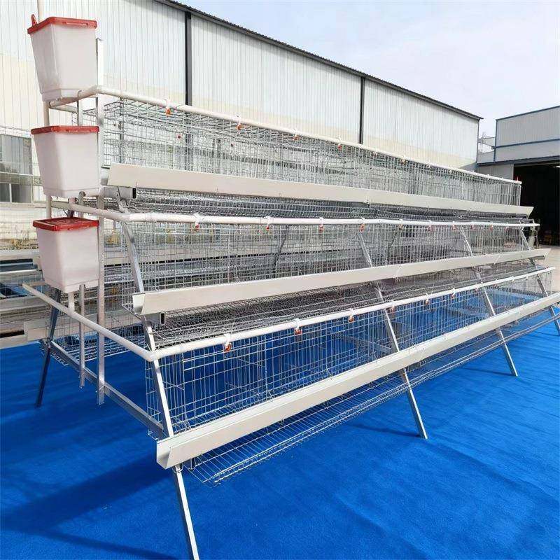 鸡笼厂家冷镀锌热镀锌三层四层蛋鸡笼阶梯蛋鸡笼养殖设备定制,淘宝优惠券,粉丝福利购,淘宝优惠卷
