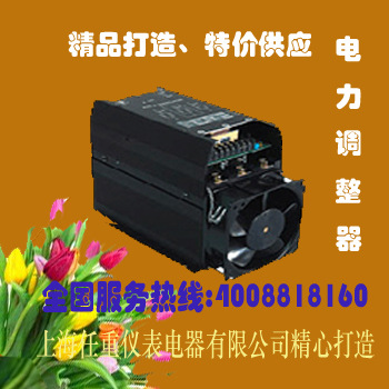 W5ZZ4V060-24J可控硅调功器W5TN4V060-24JW5TP4V060-24J电力调节 - 图0