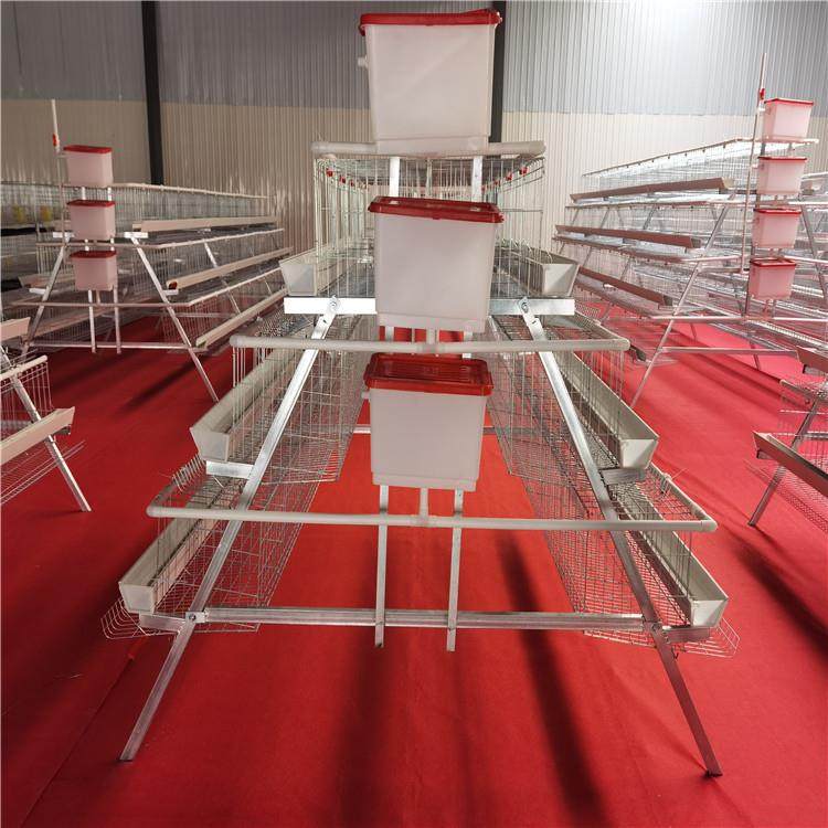 三层五门阶梯式蛋鸡笼A字型蛋鸡笼镀锌材质工厂直发外贸出口,淘宝优惠券,粉丝福利购,淘宝优惠卷