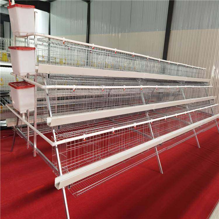 阶梯式蛋鸡笼三层四层阶梯式蛋鸡笼家禽养殖设备冷镀锌蛋鸡笼,淘宝优惠券,粉丝福利购,淘宝优惠卷
