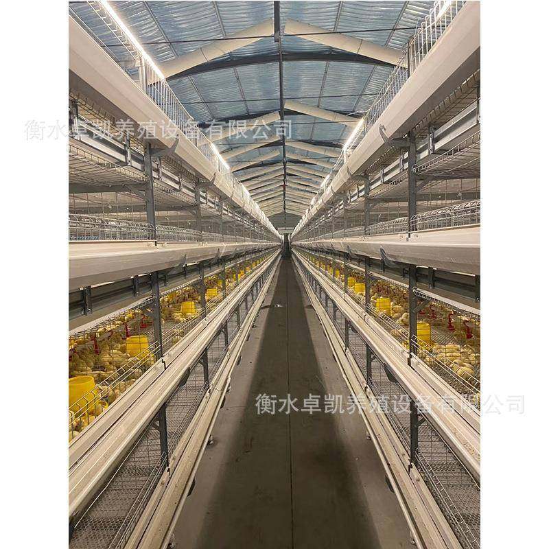 后热镀锌半自动立体框架肉鸡笼前吃后抓弹簧门加固加粗易清理,淘宝优惠券,粉丝福利购,淘宝优惠卷