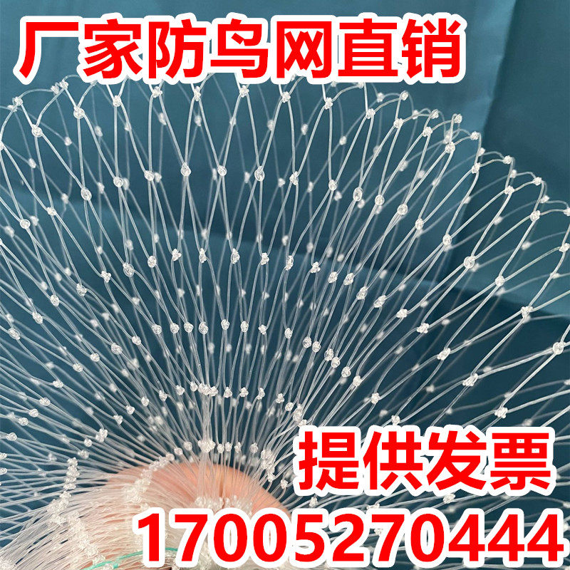 尼龙防鸟网大棚果树樱桃葡萄梨树蓝莓果园防鸟用网养殖场鱼塘天网,淘宝优惠券,粉丝福利购,淘宝优惠卷