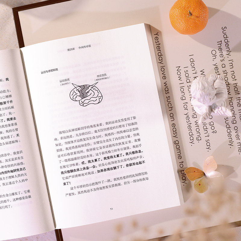 半脑世界中老年保健中医养生健康中风康复建议脑神经科学书籍重塑脑健康心脏之王脑科学家中风体验8年康复自我疗愈记录经典之作,淘宝优惠券,粉丝福利购,淘宝优惠卷