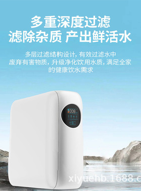 净水器家用大流量R0反渗透净水机600G带电直饮纯水机集成水路