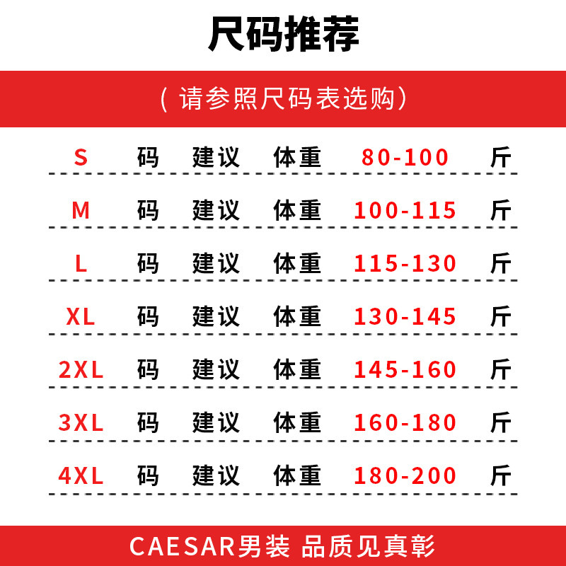 凯撒大帝2025年春季秋季男士毛衣加绒男款中年长袖纯色上衣打底衫