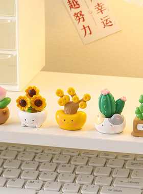 发财植物小摆件办公室桌面治愈系