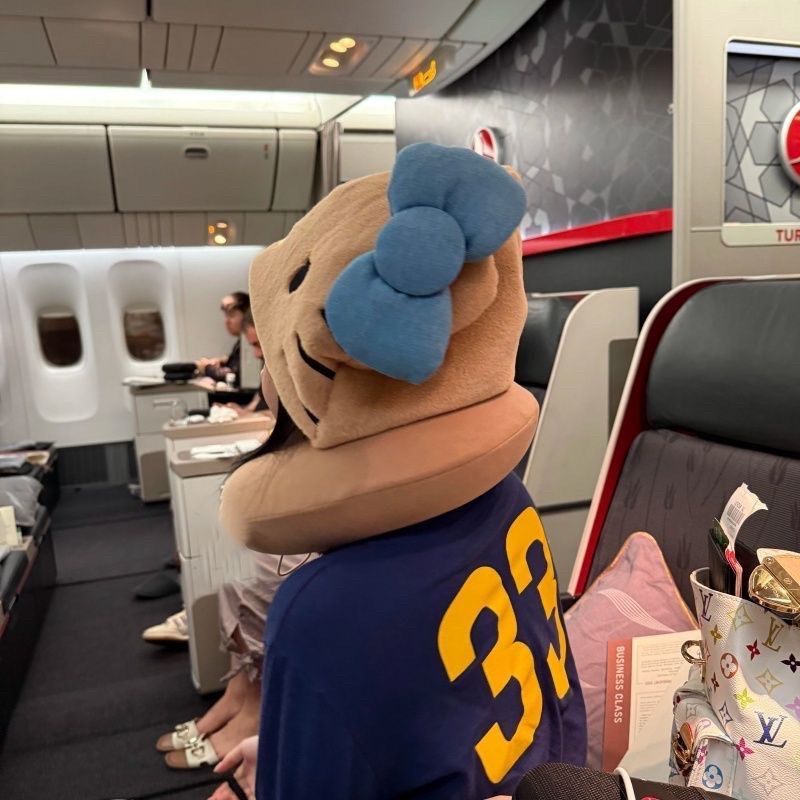 高颜值可爱小猫卡通午睡飞机护颈旅行坐车便携办公室连帽帽子枕头,淘宝优惠券,粉丝福利购,淘宝优惠卷