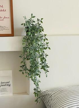 彷真绿色植物垂吊植物摆件创意客厅墙上桌面家居装饰品房间改造小