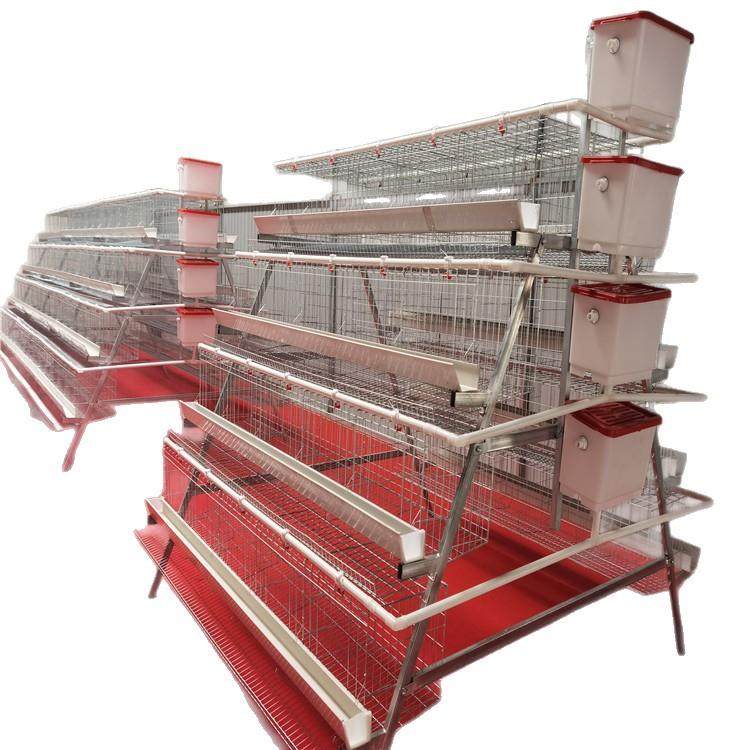 四层五门阶梯式蛋鸡笼A字型蛋鸡笼镀锌材质工厂直发外贸出口,淘宝优惠券,粉丝福利购,淘宝优惠卷