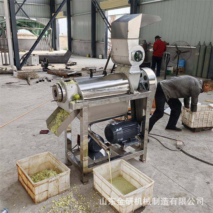 柠檬橙子菠萝柚子榨汁机不锈钢螺旋压榨机板蓝根中草药榨汁机,淘宝优惠券,粉丝福利购,淘宝优惠卷