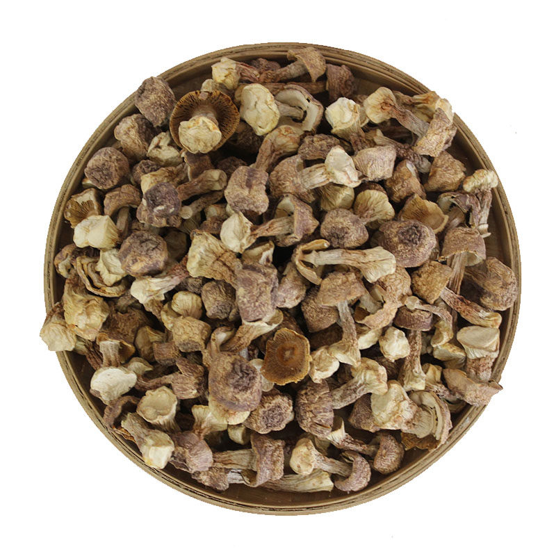 东北特产野生姬松茸干货特产巴西菇蘑菇无硫食用菌菇煲汤姬松茸菇,淘宝优惠券,粉丝福利购,淘宝优惠卷