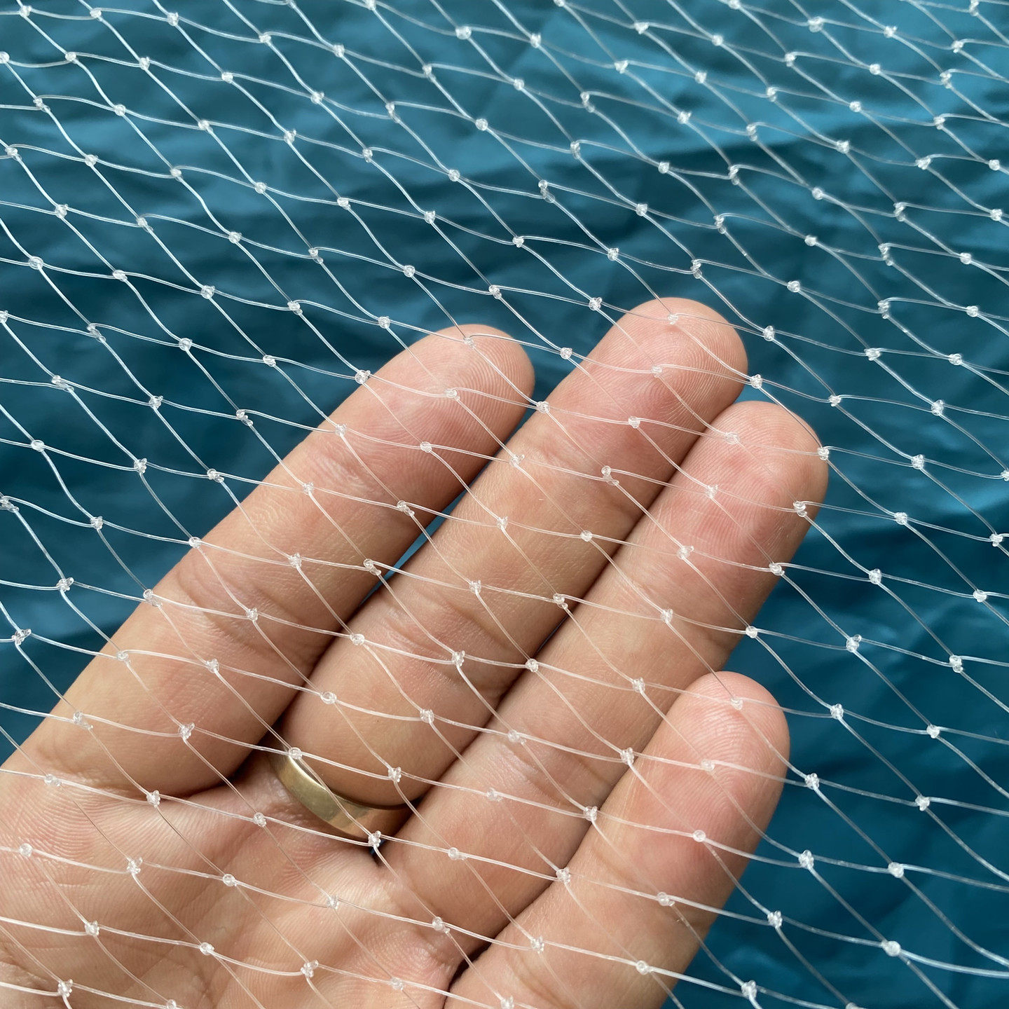 防鸟网尼龙樱桃葡萄梨树蓝莓果树果园防鸟用网青蛙养殖场鱼塘天网,淘宝优惠券,粉丝福利购,淘宝优惠卷