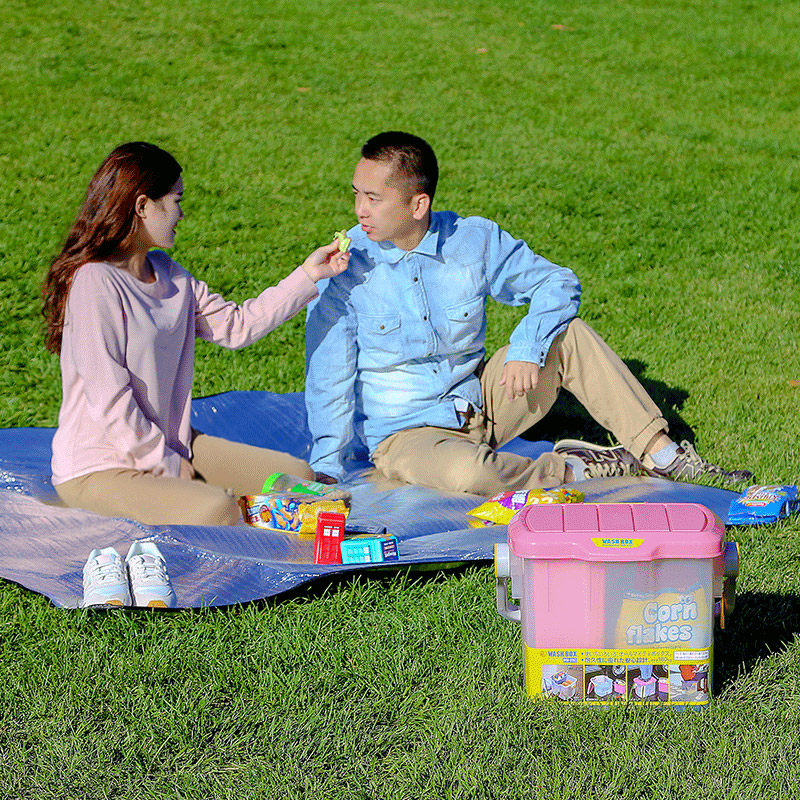 精选爱丽思IRIS  零食储物箱车载收纳箱工具整理箱汽车用品后备现,淘宝优惠券,粉丝福利购,淘宝优惠卷