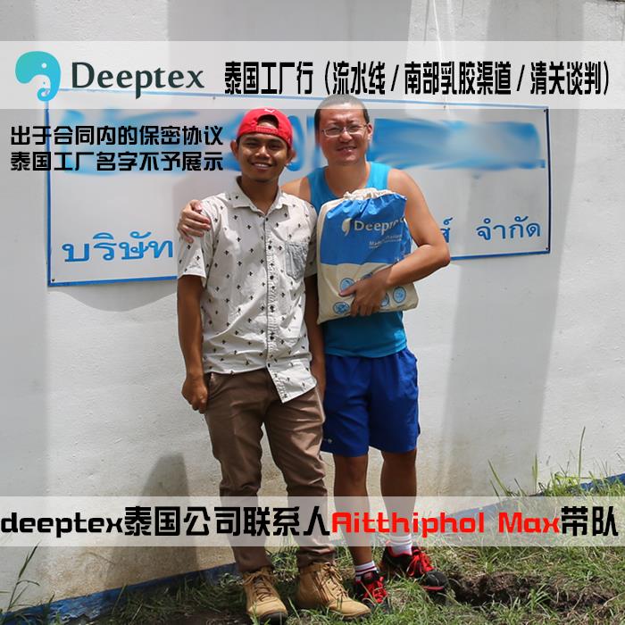 Deeptex堤普泰泰国本土进口天然乳胶高低平滑波浪无颗粒颈椎枕头 - 图0
