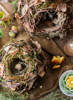 掬涵 天然草藤鸟窝鸟巢鸟屋园林庭院装饰吊饰杂货花园造景道具