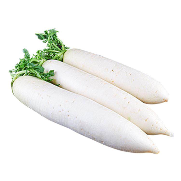 中鲜生 新鲜白萝卜9斤白皮甜脆爽口水果萝卜农家自种腌菜泡菜萝卜,淘宝优惠券,粉丝福利购,淘宝优惠卷