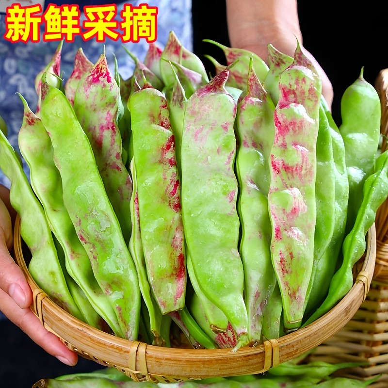 正宗东北油豆角现摘新鲜5斤黑龙江一点红油豆角九月青整箱包邮10,淘宝优惠券,粉丝福利购,淘宝优惠卷