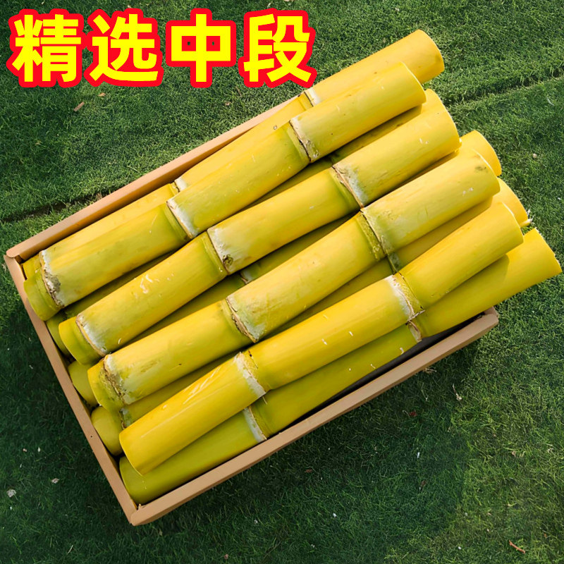 广西黄金甘蔗10斤新鲜应当季孕妇水果脆甜黑黄皮甘蔗特产整箱包邮,淘宝优惠券,粉丝福利购,淘宝优惠卷