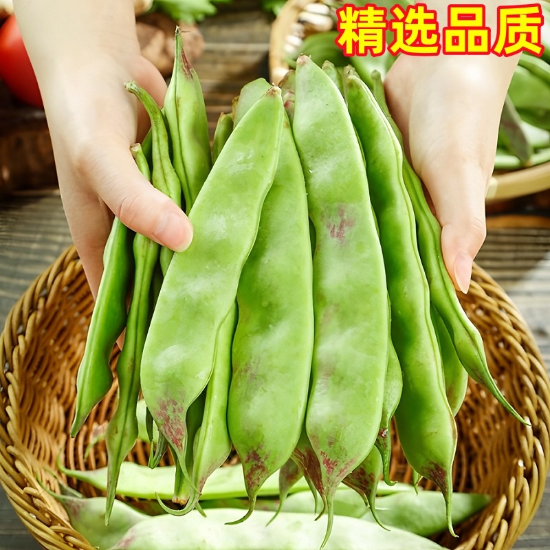 正宗东北油豆角现摘新鲜5斤黑龙江一点红油豆角九月青整箱包邮10,淘宝优惠券,粉丝福利购,淘宝优惠卷